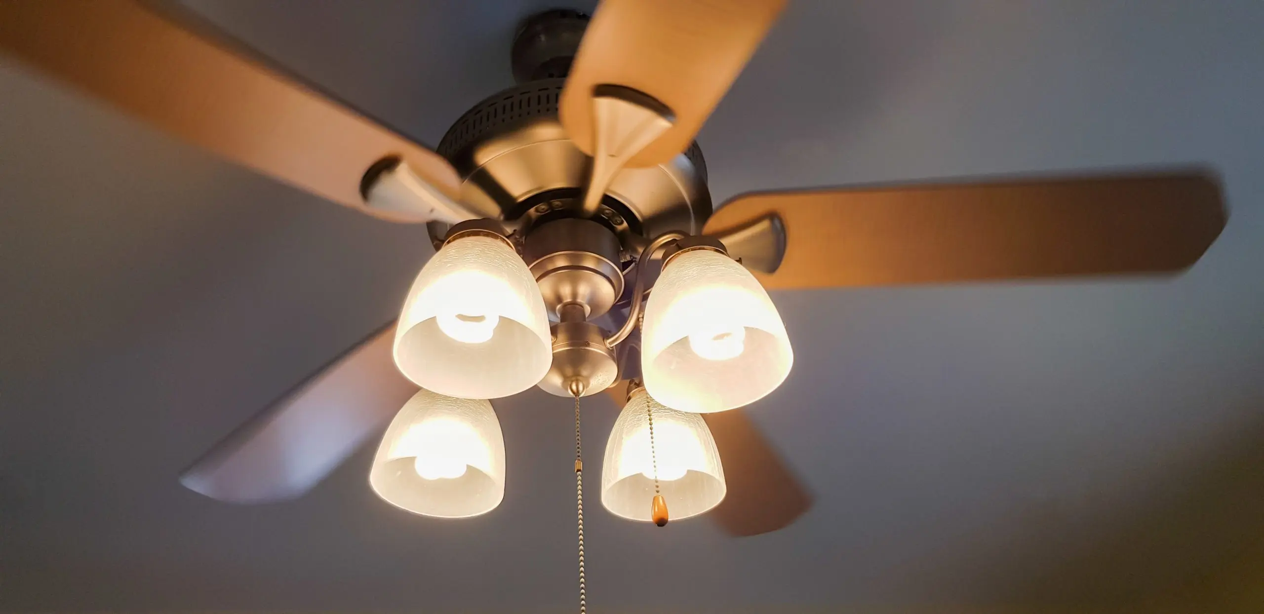 Ceiling fan with light fixtures installed on white ceiling